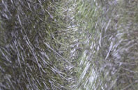 Bassenthwaite fibreglass roof work